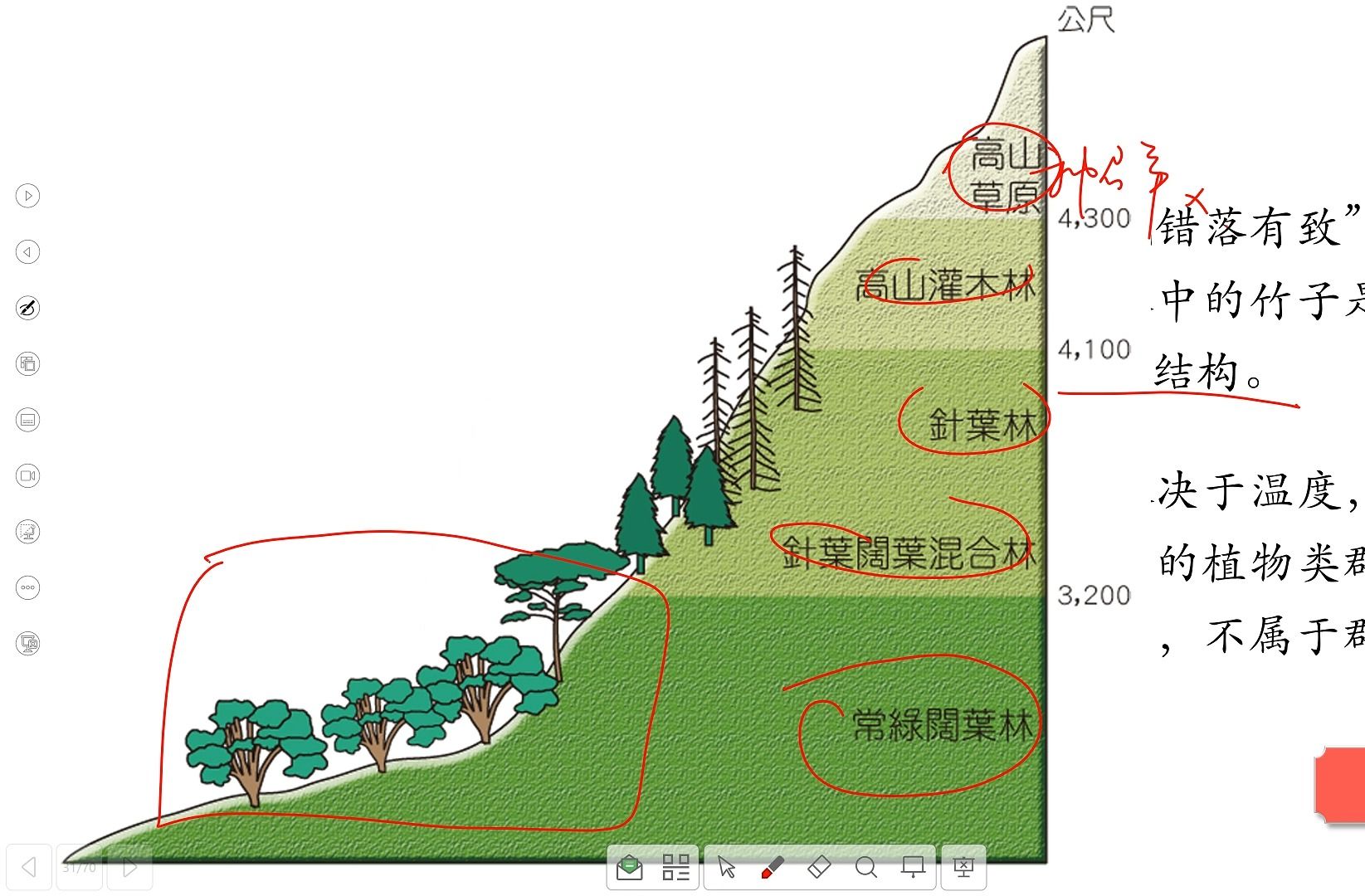 群落及其演替概念图图片