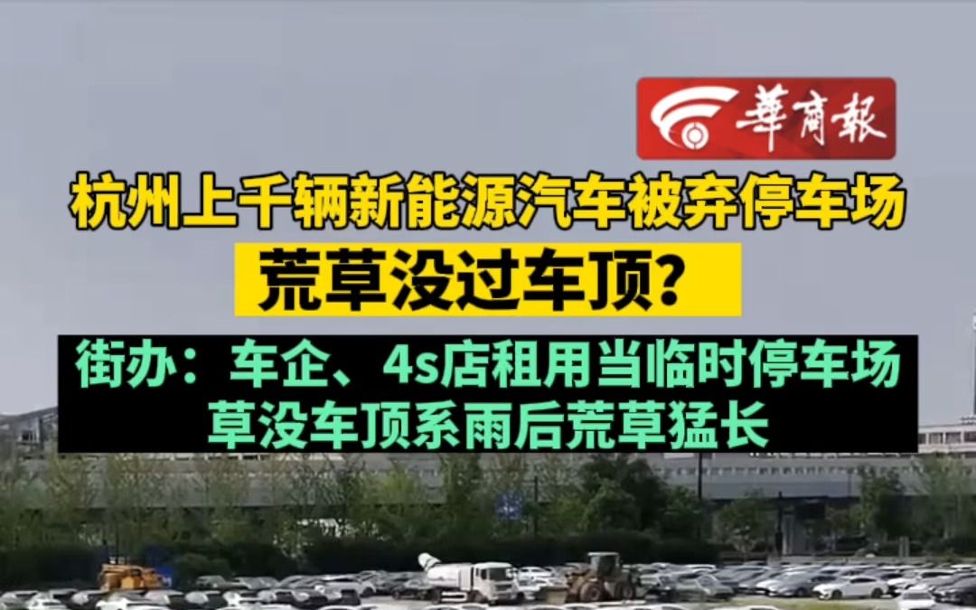 杭州上千辆新能源汽车被弃停车场 荒草没过车顶?街办:街办:车企、4s店租用当临时停车场 草没车顶系雨后荒草猛长哔哩哔哩bilibili