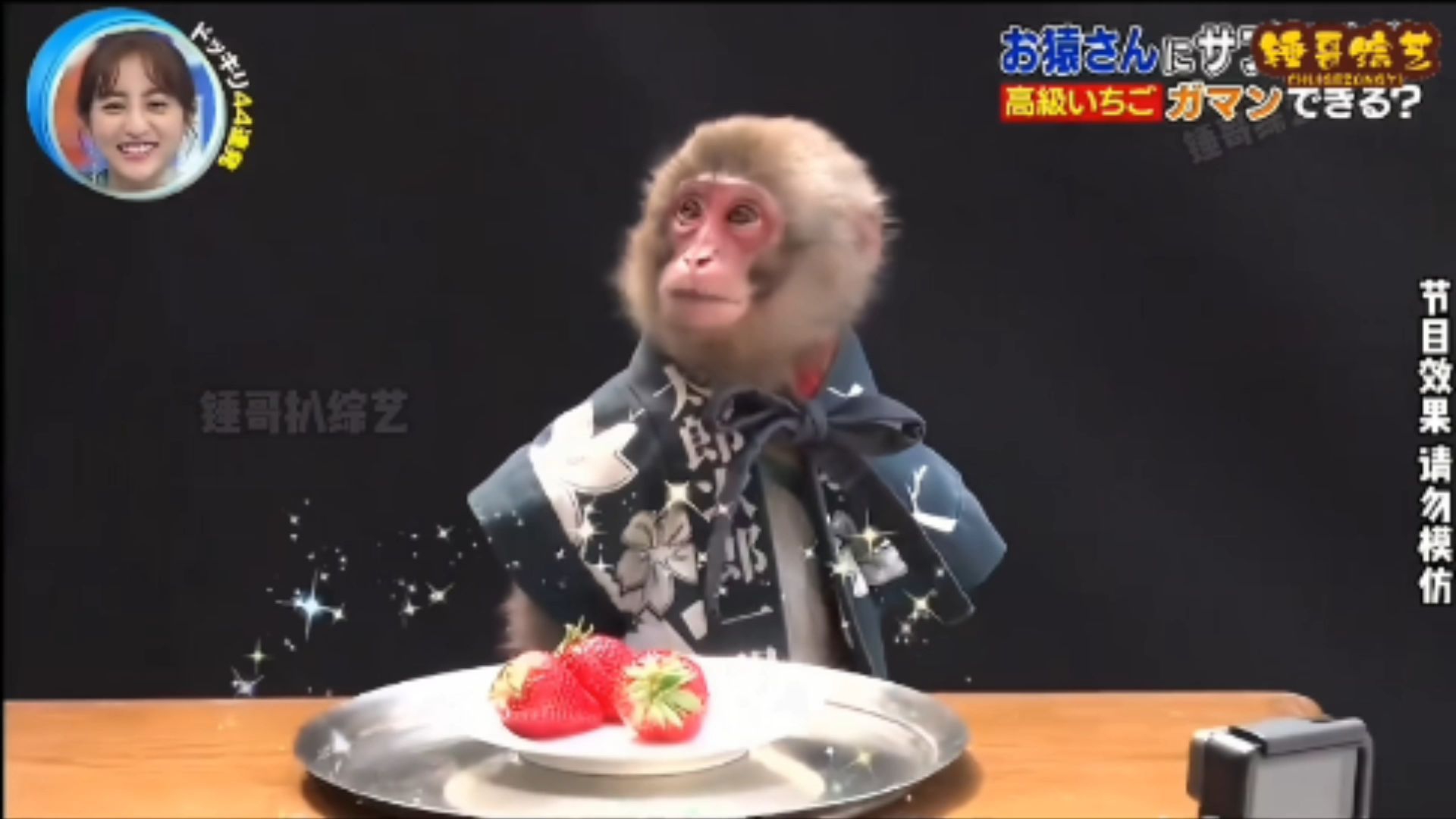你觉得训练有素的猴哥,能够抵挡住美食的诱惑吗02#猴子成精02