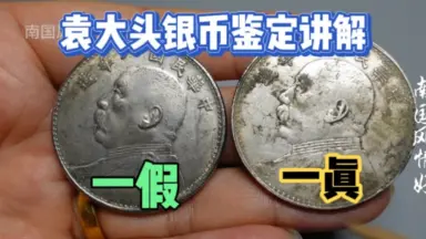 袁大头银元-哔哩哔哩_Bilibili