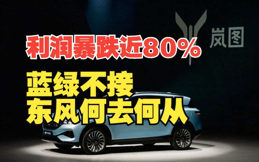 利润暴跌近80%,东风汽车“蓝绿不接”,何去何从哔哩哔哩bilibili