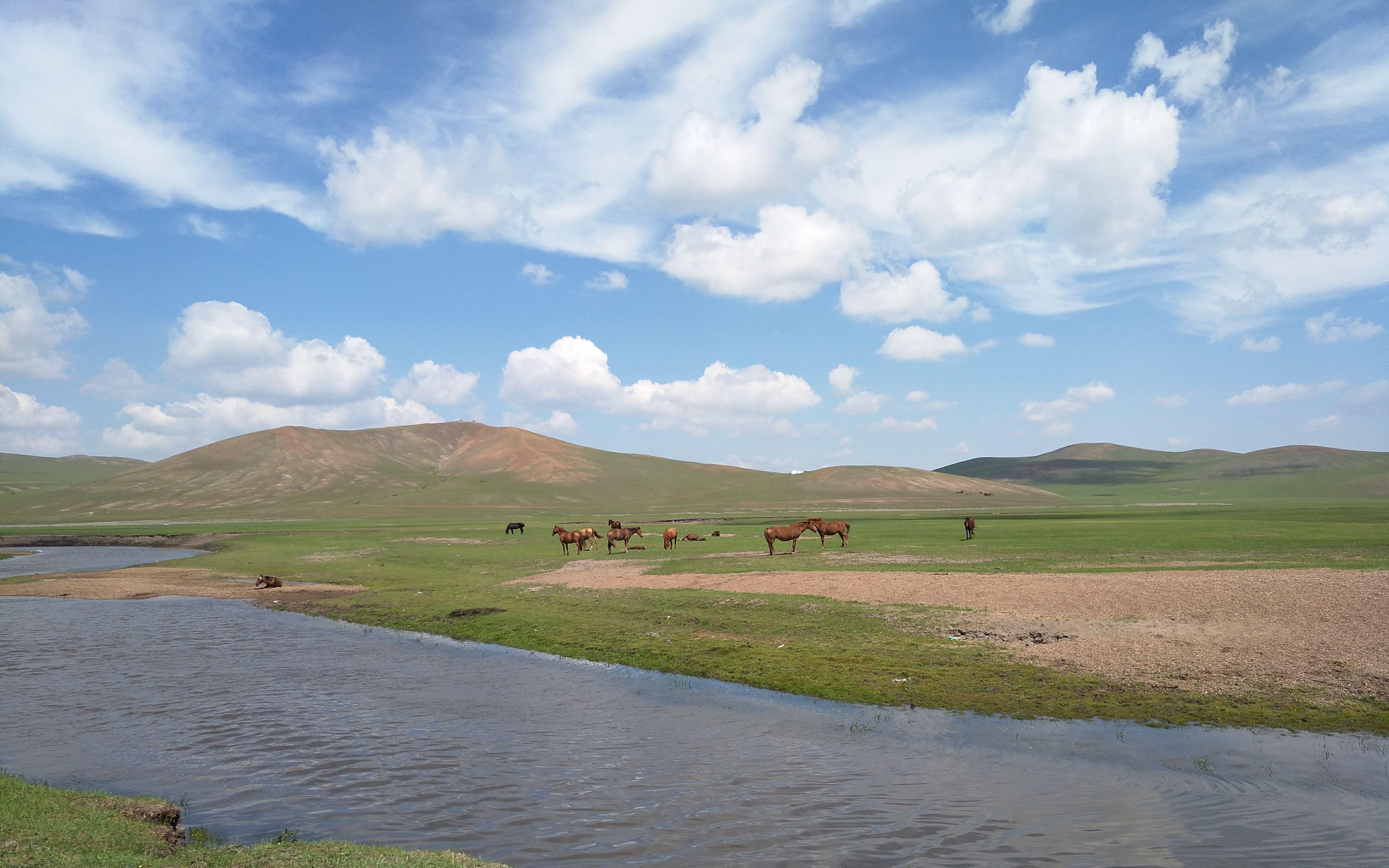 我眼中的大草原(记录海拉尔旅游)