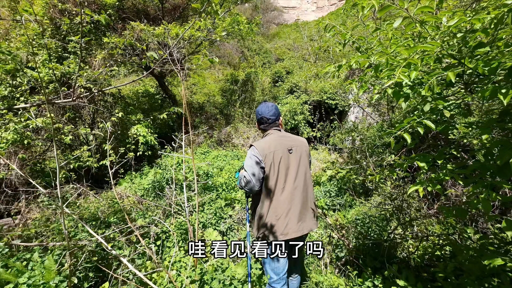 探秘山西稷山法宝寺遗址,竟然发现高大的三面石佛,这座寺院到底是怎么损毁的?哔哩哔哩bilibili