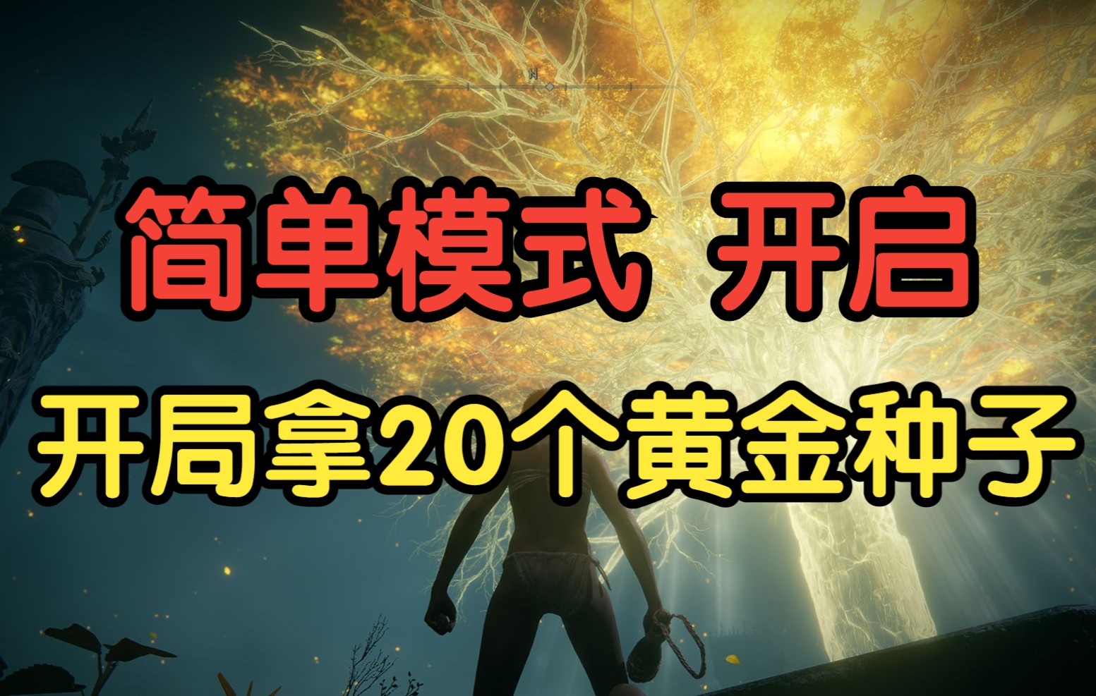 艾尔登法环(老头环)新手攻略 【开局拿20个黄金种子】哔哩哔哩bilibili