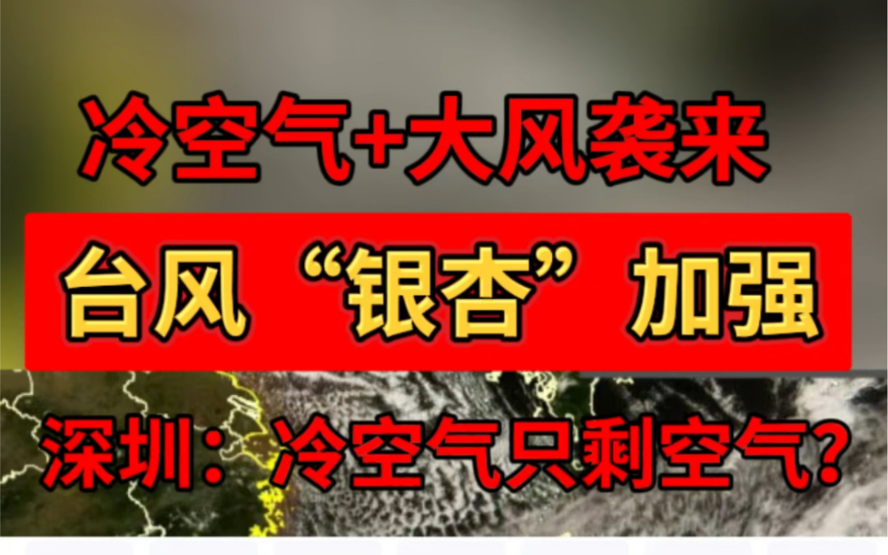 台风“银杏”已经加强!深圳天气……#银杏#深圳天气#降温#冷空气哔哩哔哩bilibili