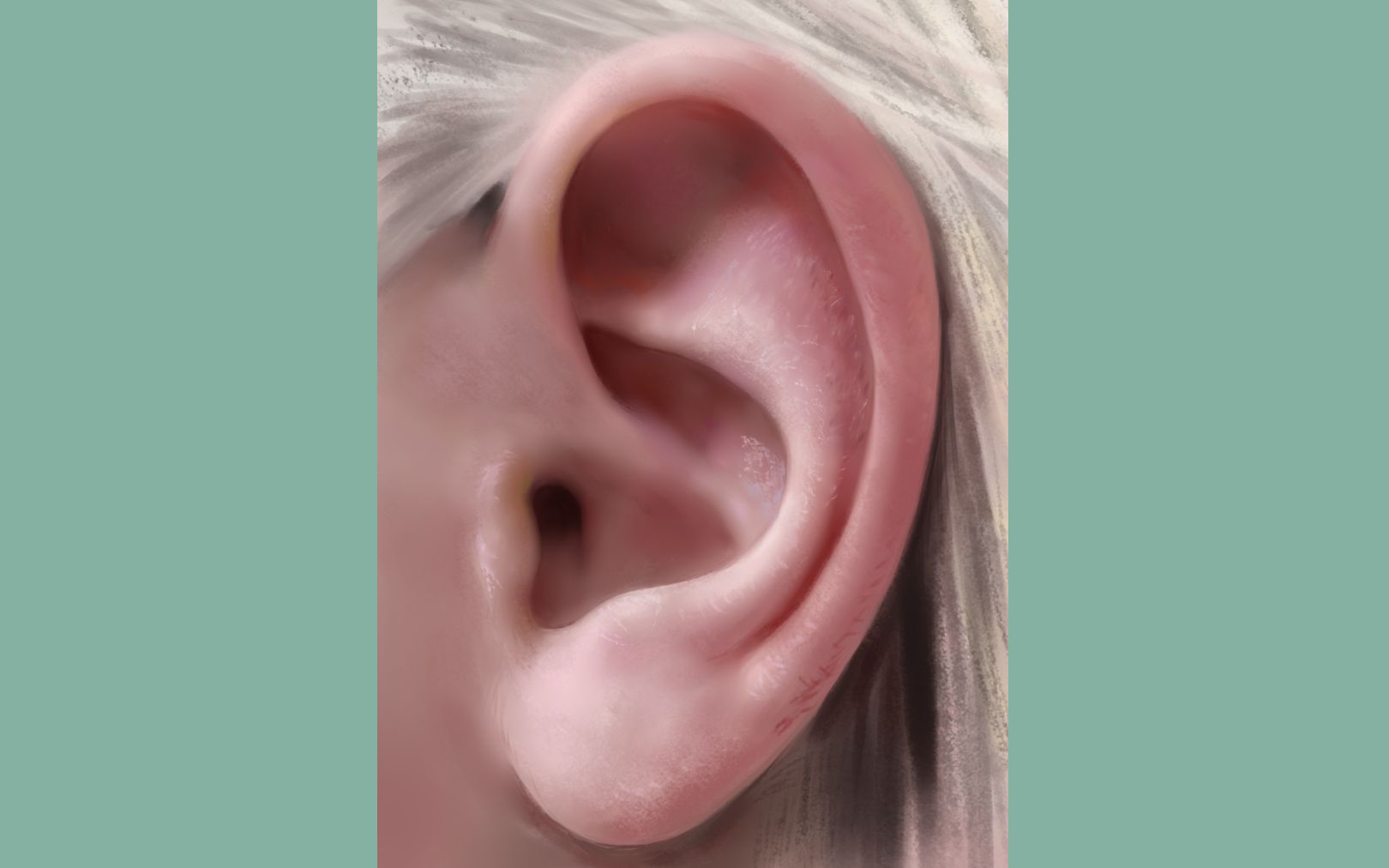 【板绘】耳朵厚涂教程 画一个耳朵 原速_哔哩哔哩 (゜-゜)つロ 干杯