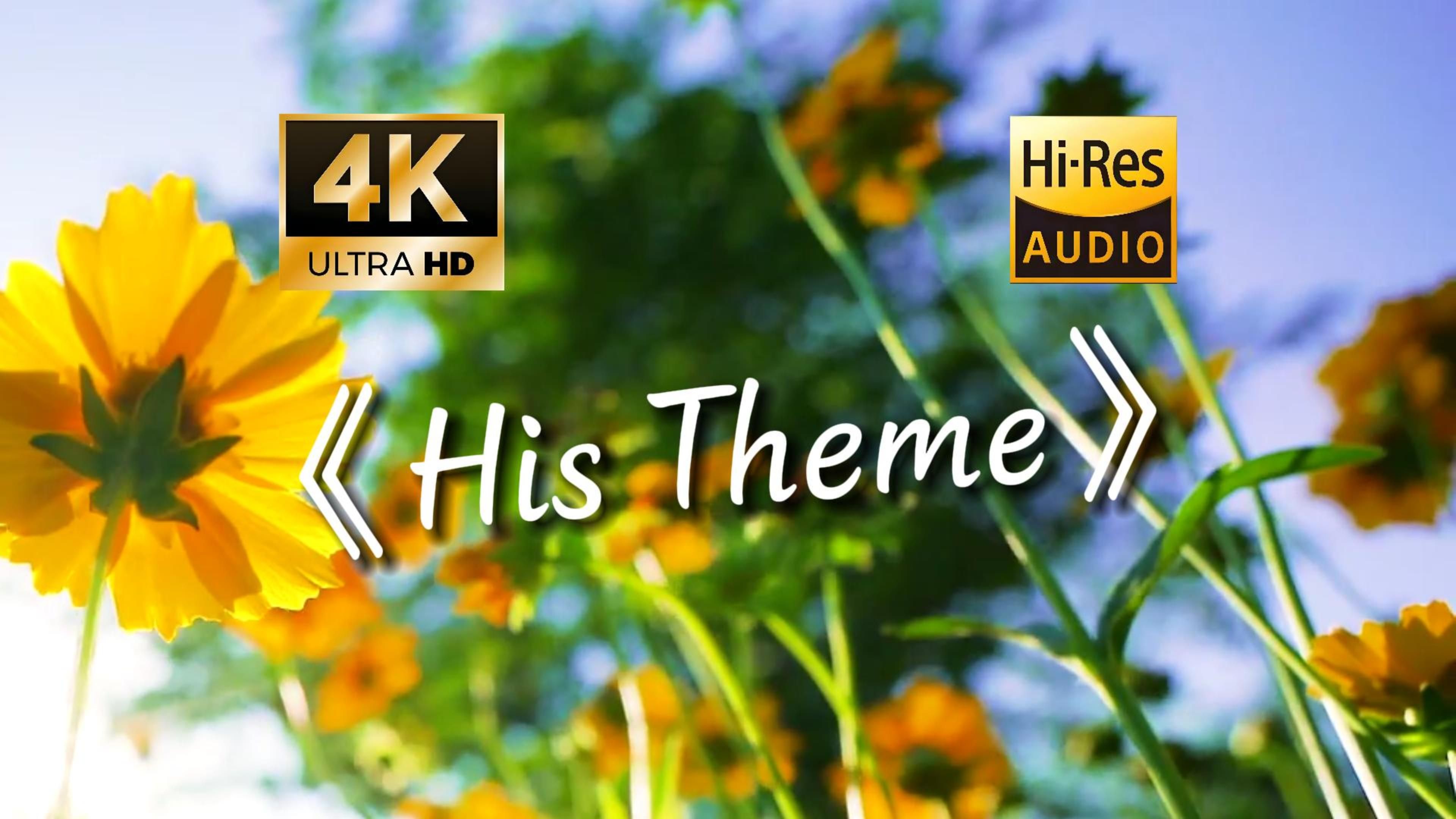 【4K HiRes】《His Theme》温柔旋律,治愈之声哔哩哔哩bilibili