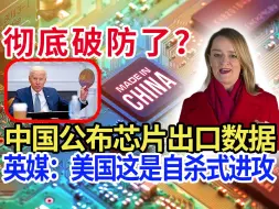 Descargar video: 彻底破防了？中国公布芯片出口数据，英媒：美国这是自杀式“进攻”