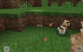 我的世界驯服猫 哔哩哔哩 Bilibili