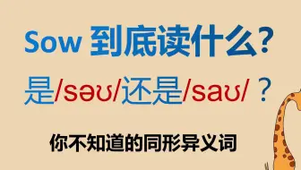 正确掌握常见同形异义词的发音和意思