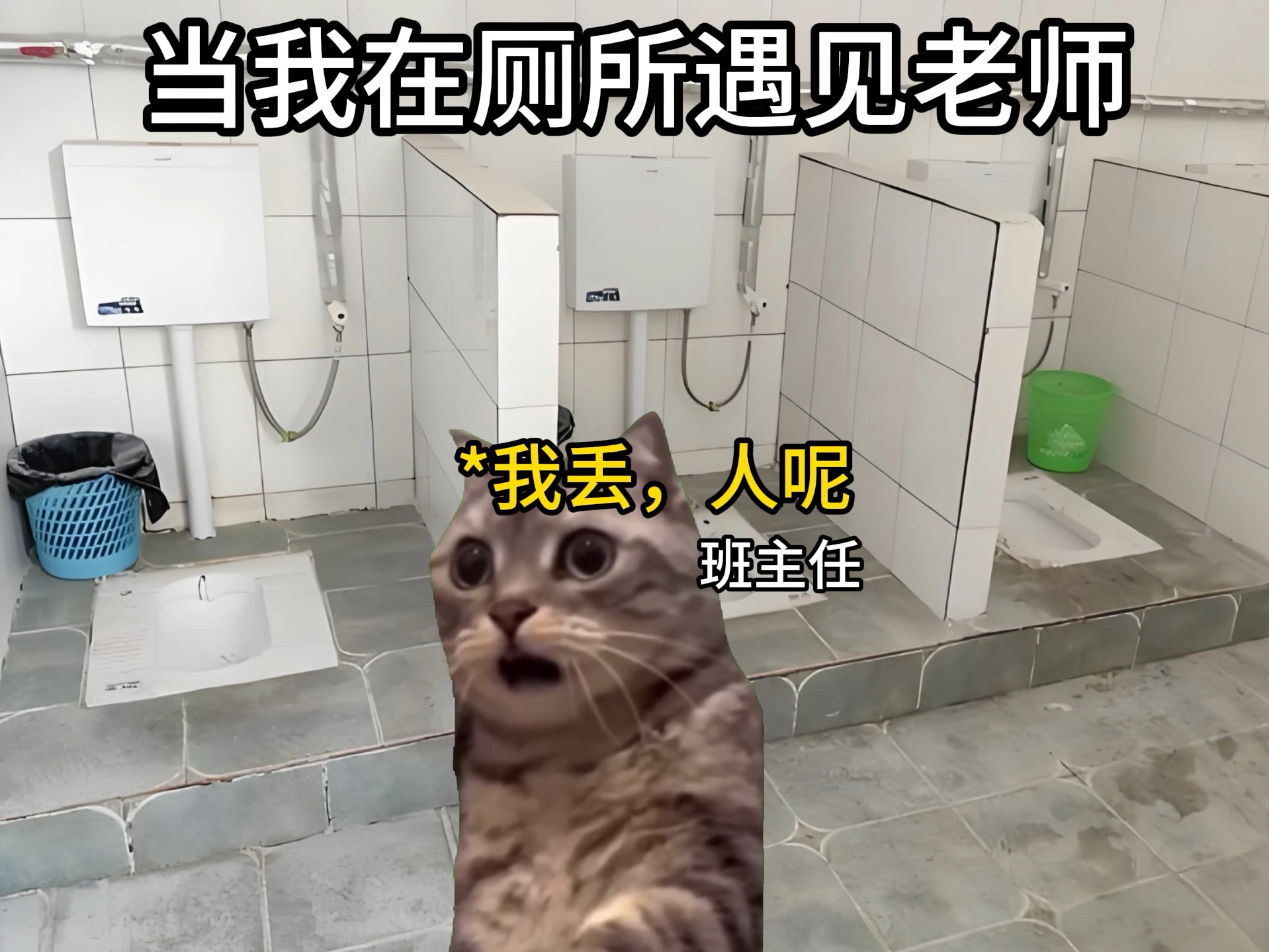 老师制作的草莓塔 #沙雕迷惑行为 #校园生活 #猫咪哔哩哔哩bilibili