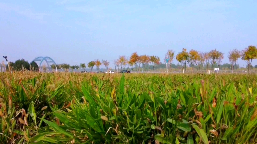 [图]石家庄滹沱河（森林河趣那主题公园）