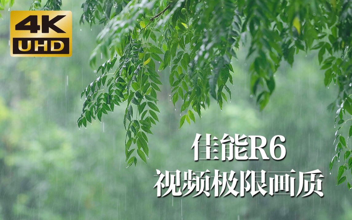 [图]下雨天测试佳能R6极限画质，4K 50P 10bit 422.