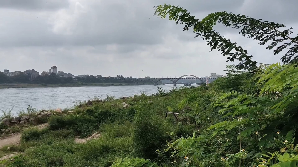 我的家乡广西桂平市北江美景,远在他乡的你是否想家了