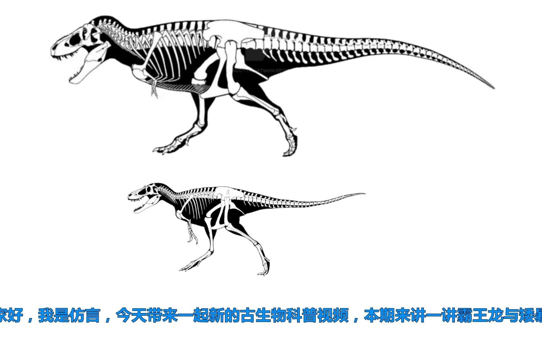 矮暴龙究竟是不是未成年霸王龙【古生物科普16】哔哩哔哩bilibili