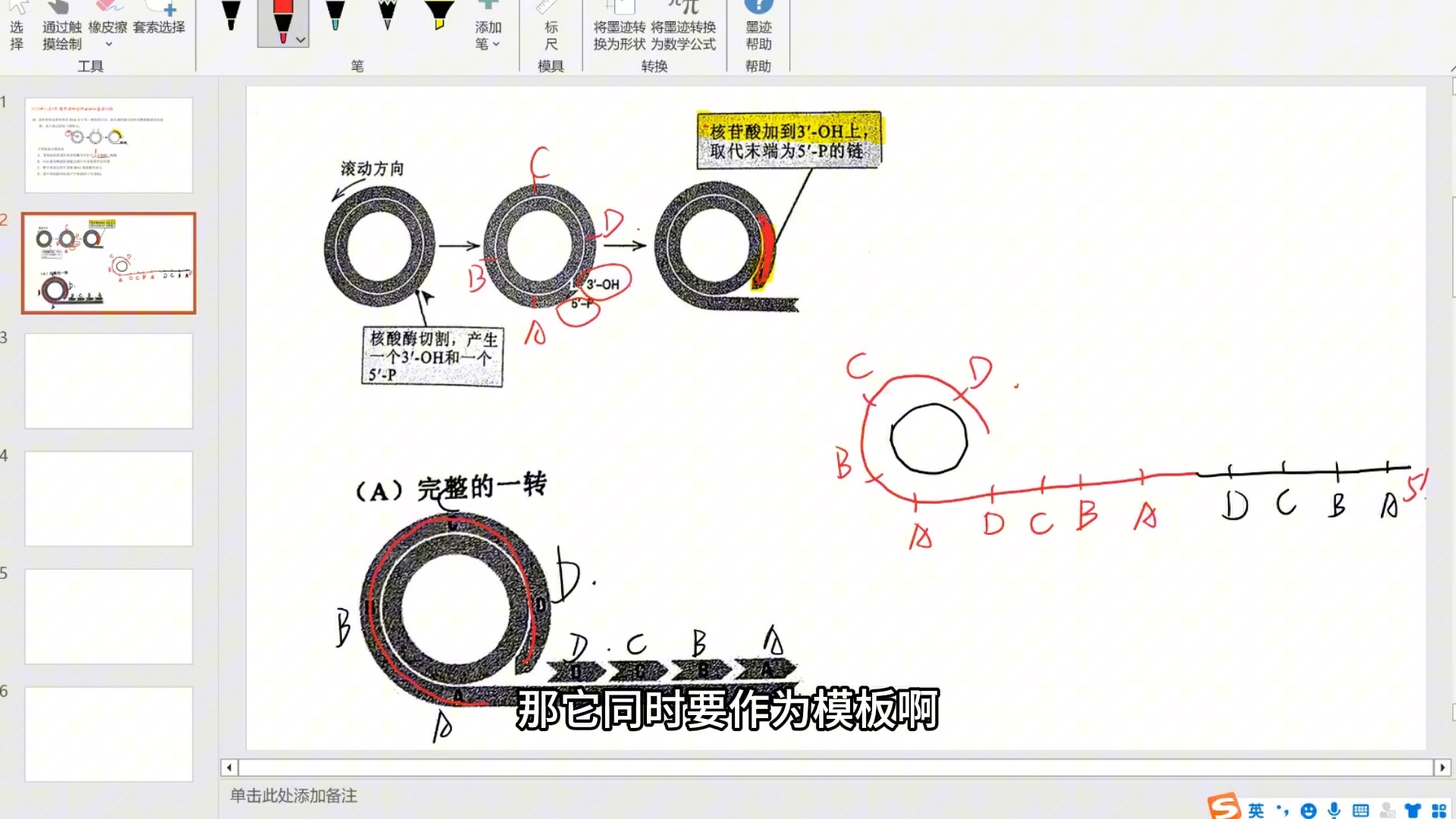 202311今天刚考的绍兴诊断生物试卷第18题滚环复制的问题,有点超纲啦