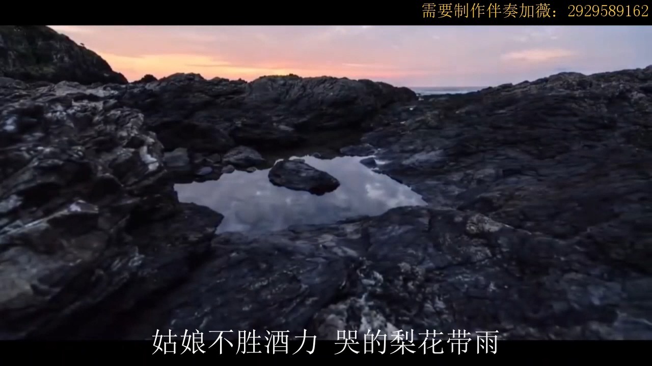 琵琶曲 - 郑浩、冰洁高品质 和声伴奏带《字幕》
