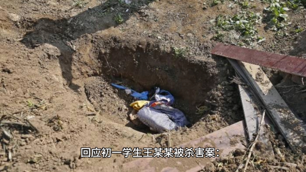 2024王子耀死亡事件 #王子耀