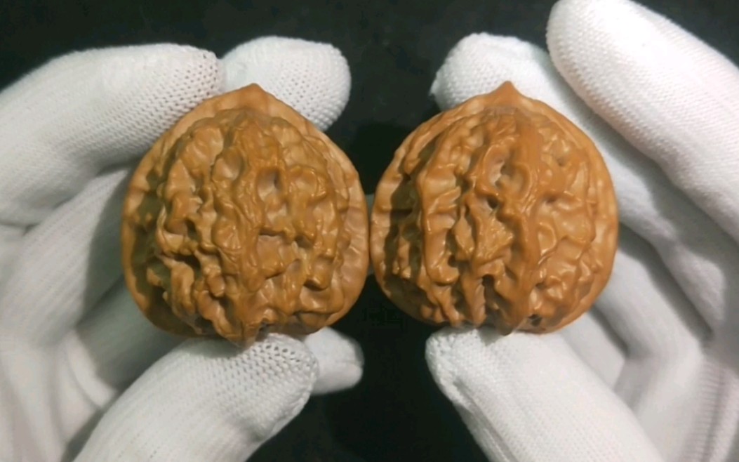 【福利】梨木台狮子头