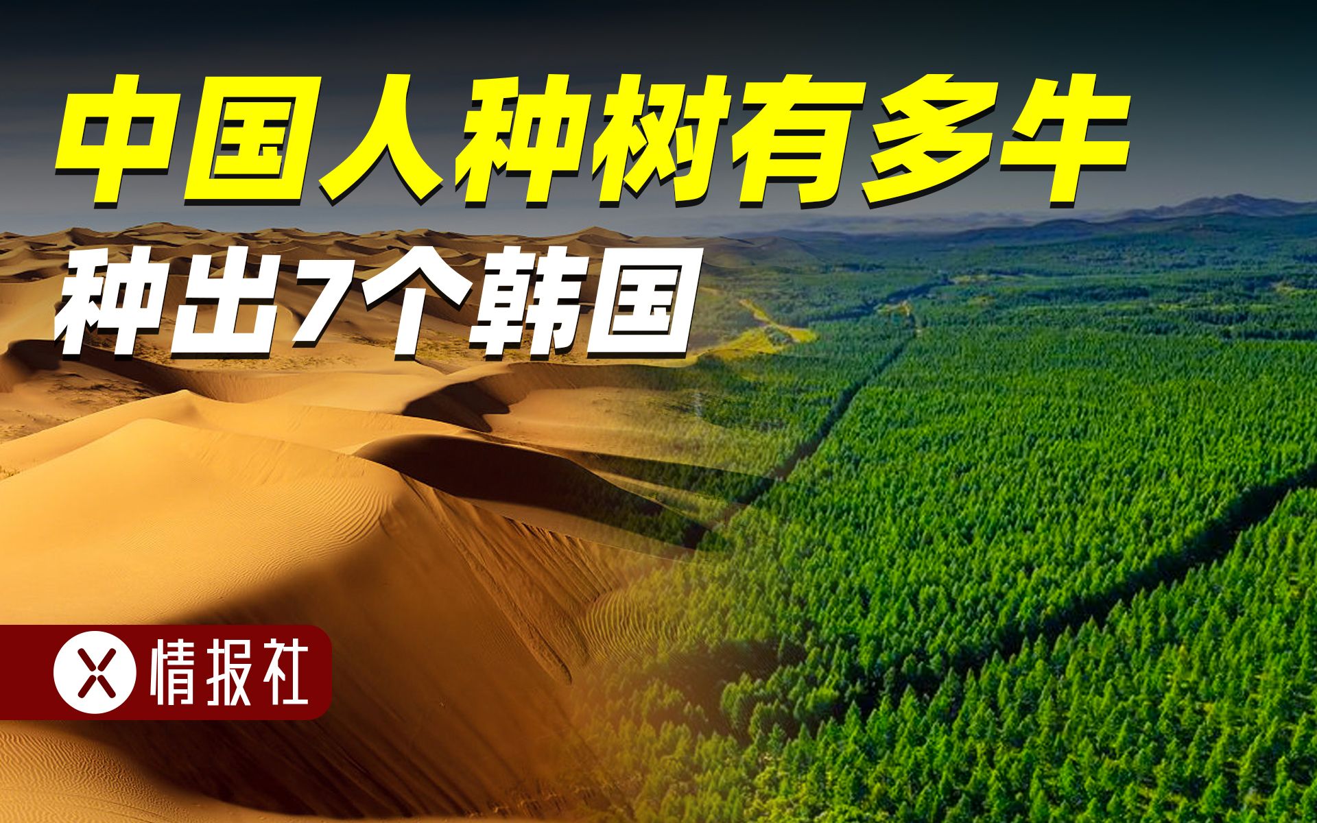 中国人种树有多牛?干掉的沙漠相当于7个韩国,沙海变绿洲哔哩哔哩bilibili