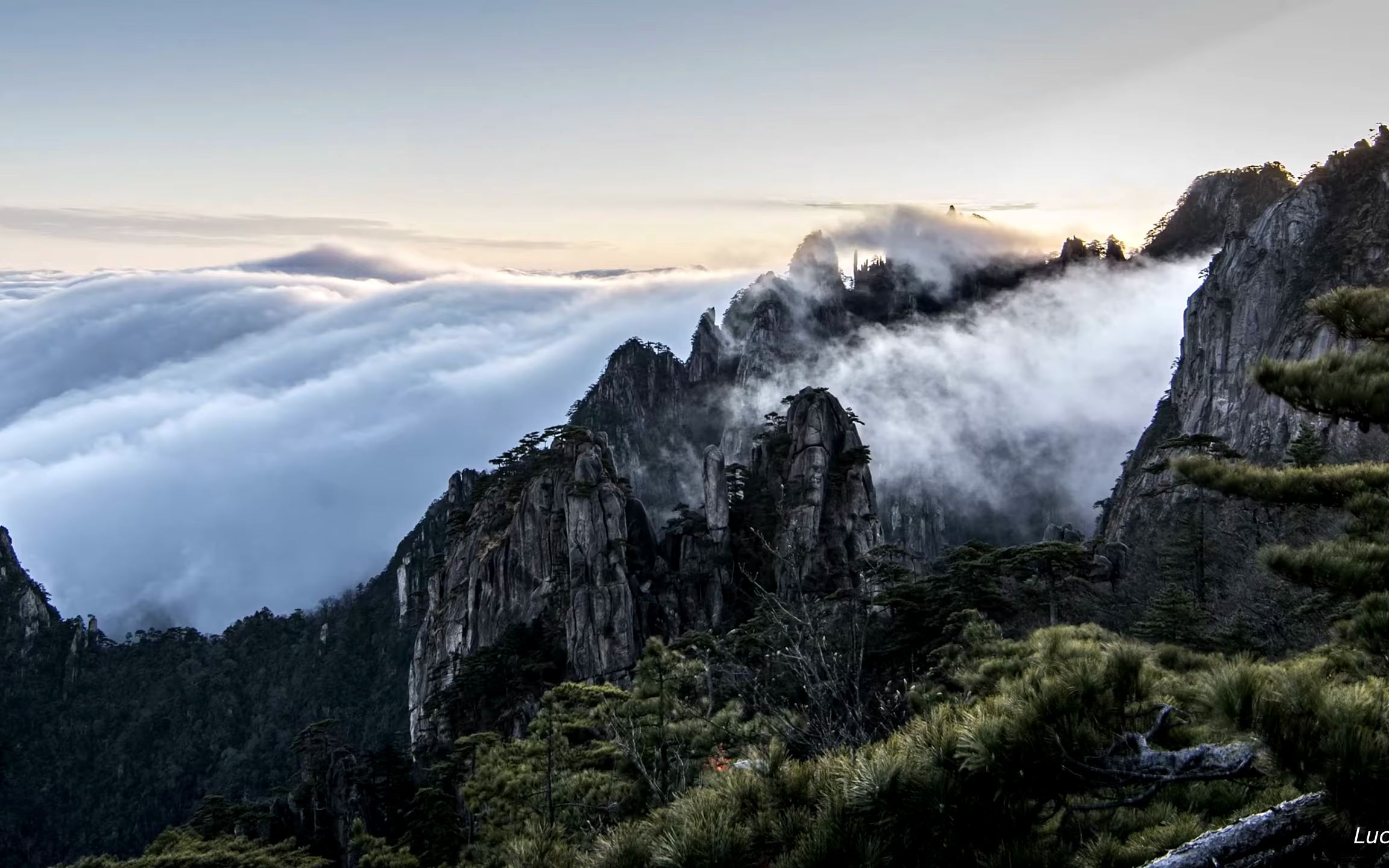 黄山雾海图片