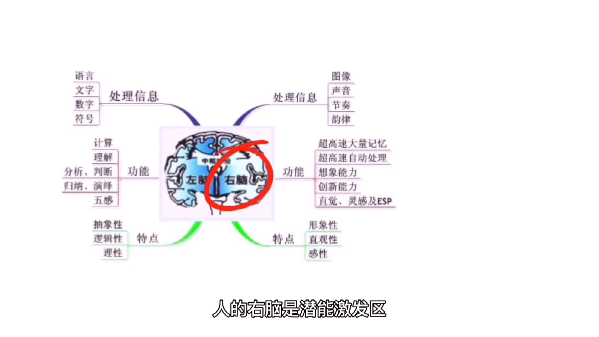 如何做笔记过目不忘?学霸都在用的做笔记方法 |四色笔记法哔哩哔哩bilibili