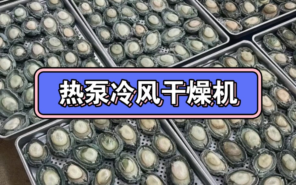 热泵冷风干燥机采用低温干燥技术相比于热风 干燥品质更好哔哩哔哩bilibili