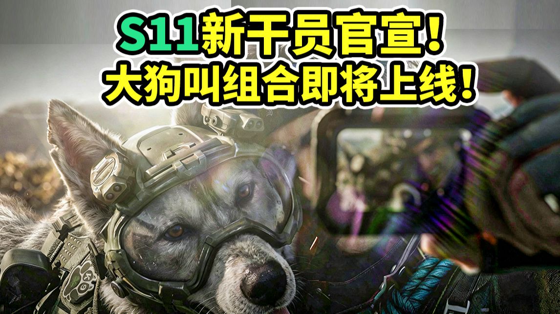 S11新干员官宣！大狗叫真的来了！【三角洲行动】