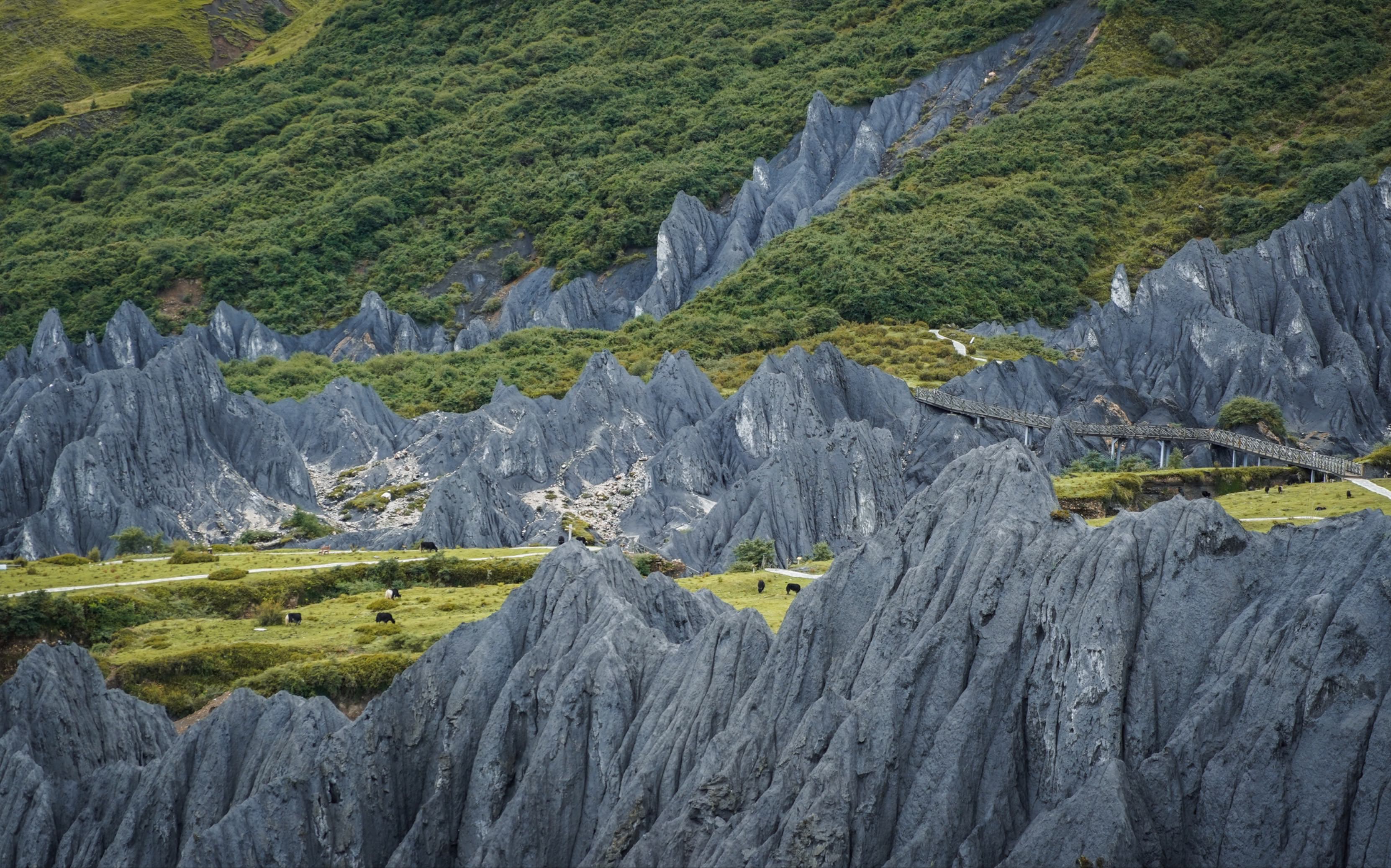 九月的一个周末:墨石公园|木雅圣地|甘孜康定