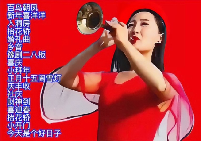 唢呐一响黄金万两,十首唢呐神曲,最后一首直接起飞!哔哩哔哩bilibili