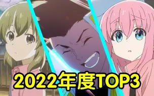 Descargar video: 年度巨献！2022年度新番动画top3！三部顶尖水准！少看一部都可惜！