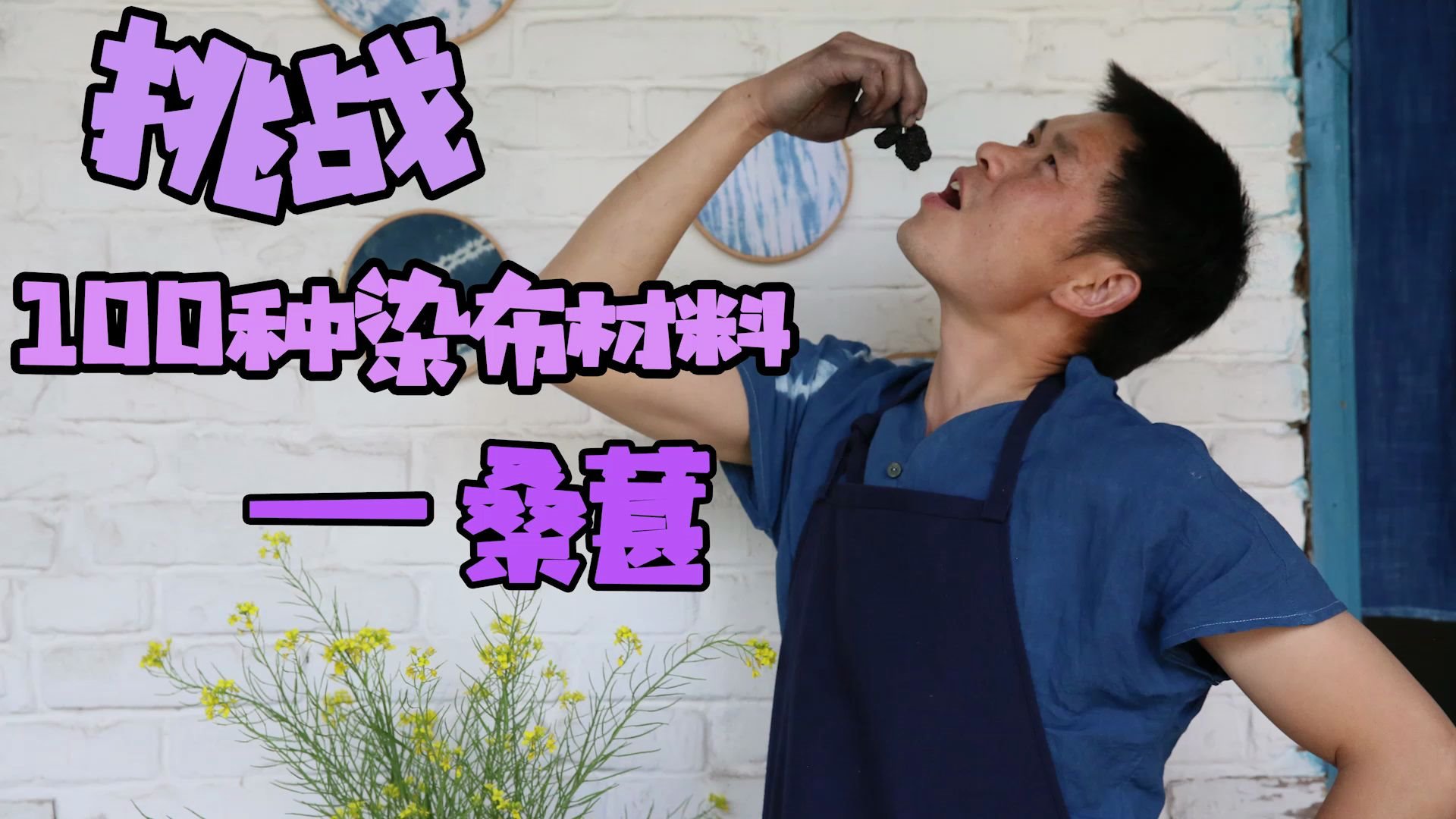 挑战100种染布材料——桑葚_哔哩哔哩 (゜-゜)つロ 干杯~-bilibili