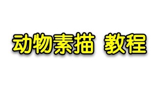 【素描 || 动物合集】动物手绘零基础 快速入门课哔哩哔哩bilibili