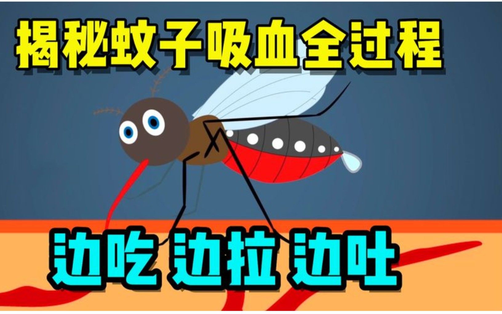 蚊子吸血过程到底有多恐怖?近距离拍摄,相当于往身上插了6把刀哔哩哔哩bilibili