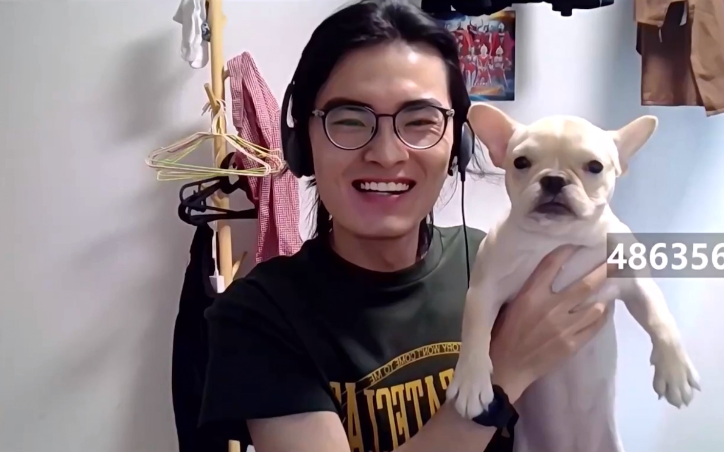 带篮子育狗圣经