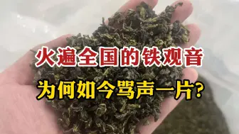 曾经火遍全国的铁观音，为何如今骂声一片？铁观音你还会喝吗