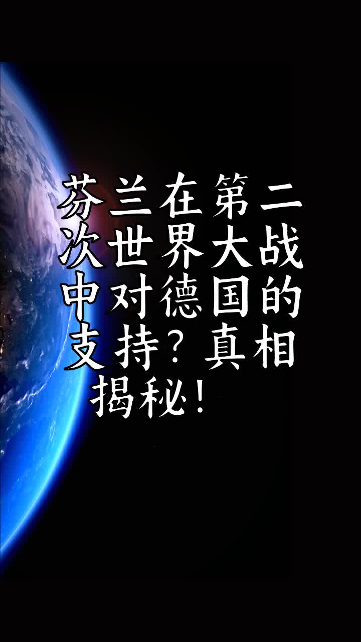 芬兰在第二次世界大战中对德国的支持?真相揭秘!𐟇밟‡‡鰟‡갟𔥓”哩哔哩bilibili