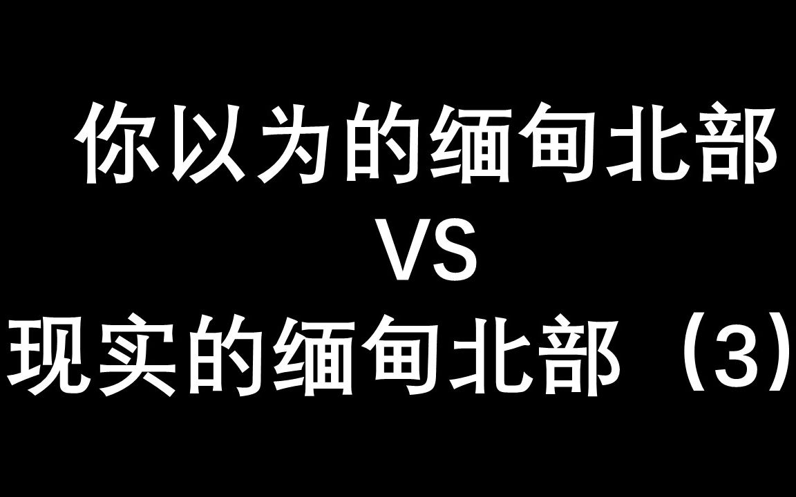 [图]这里是缅甸北部（3）娇贵的小公主，这里噶腰子不打麻药！请不要来这里！