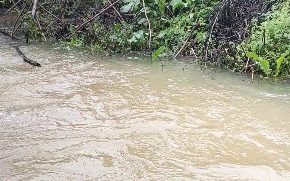 [图]温度骤降后雨水也随之而来，前段时间的高温实在是太太不正常了