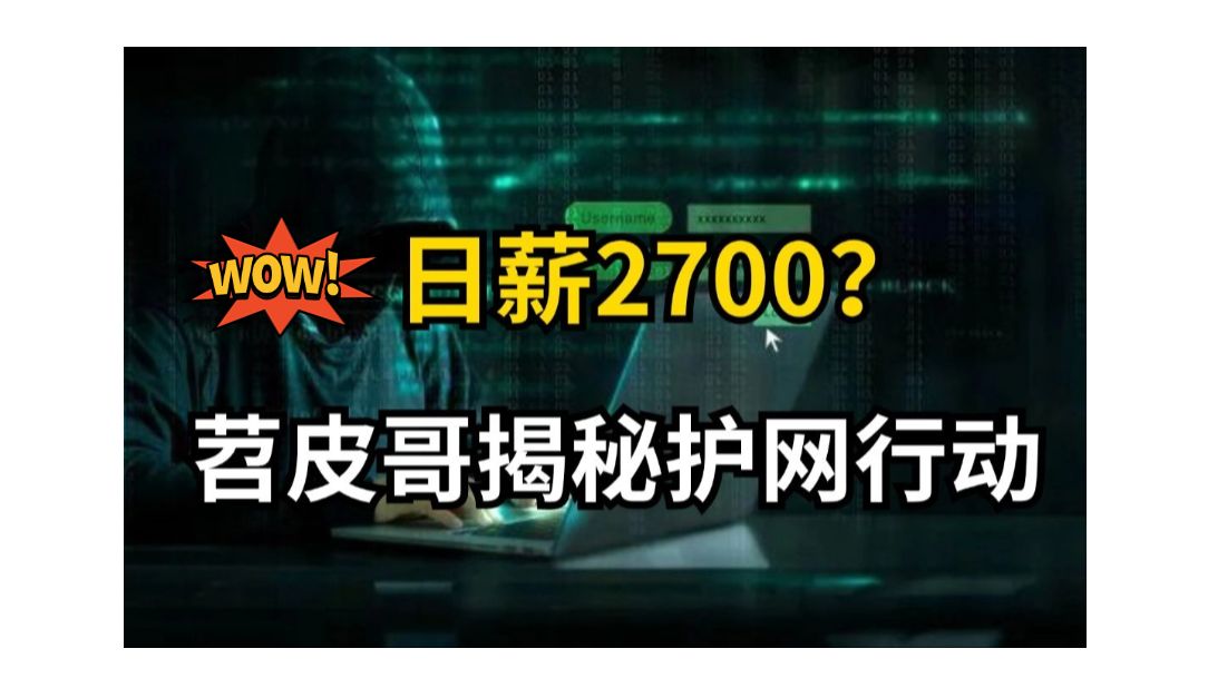 “日薪2700?揭秘护网行动的真相!普通人也能加入吗?”(网络安全/信息安全)哔哩哔哩bilibili