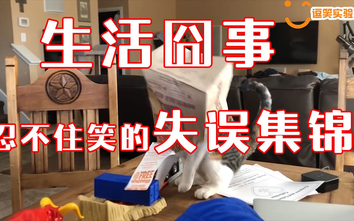 忍不住笑的失误集锦生活囧事这些失误搞笑视频让你笑一天