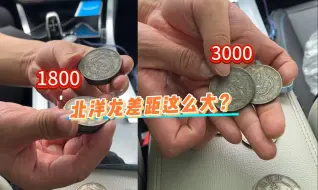 Download Video: 一千多就能拿下北洋龙？没错，是真的