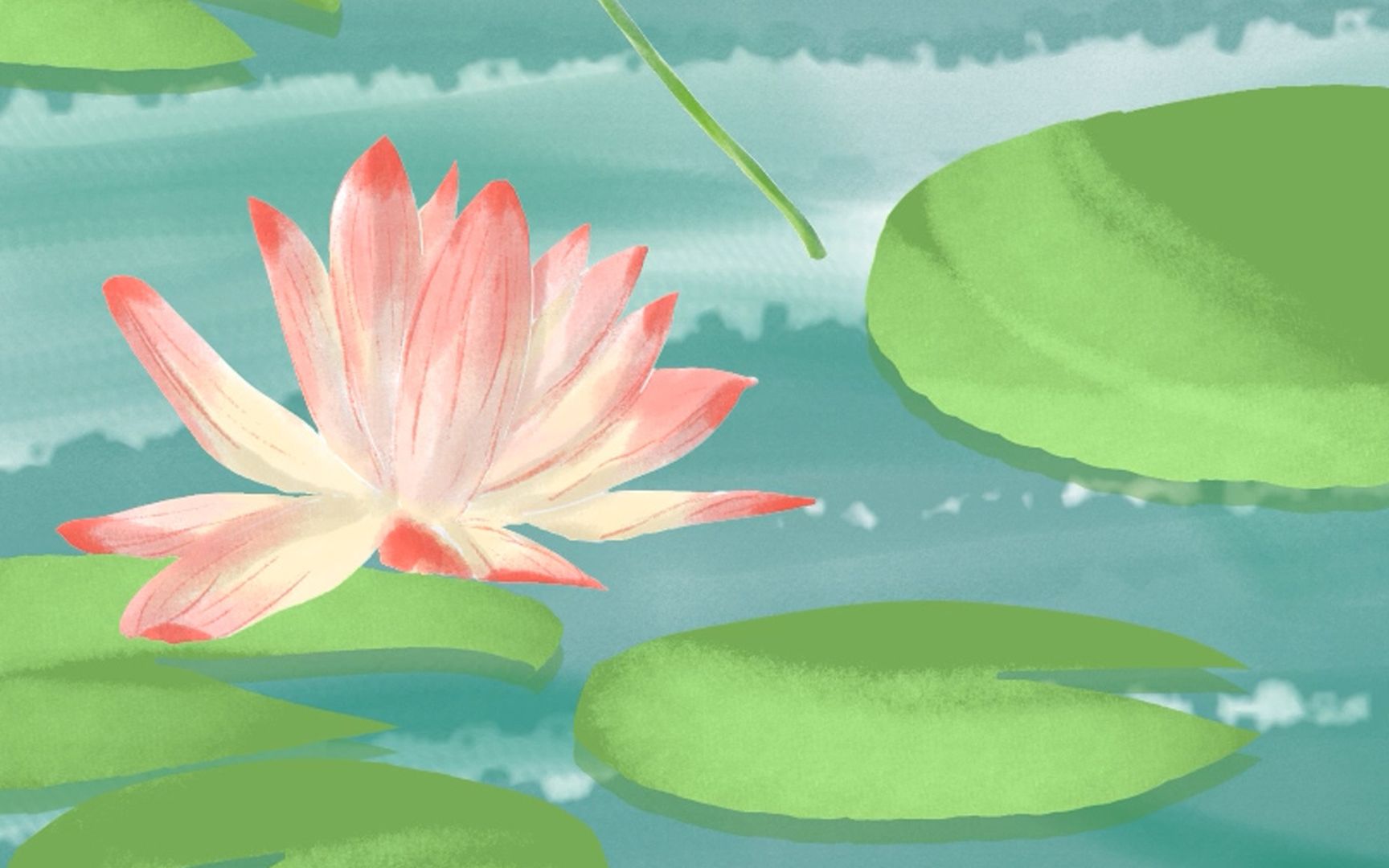 板绘如何画一朵古风荷花绘画过程