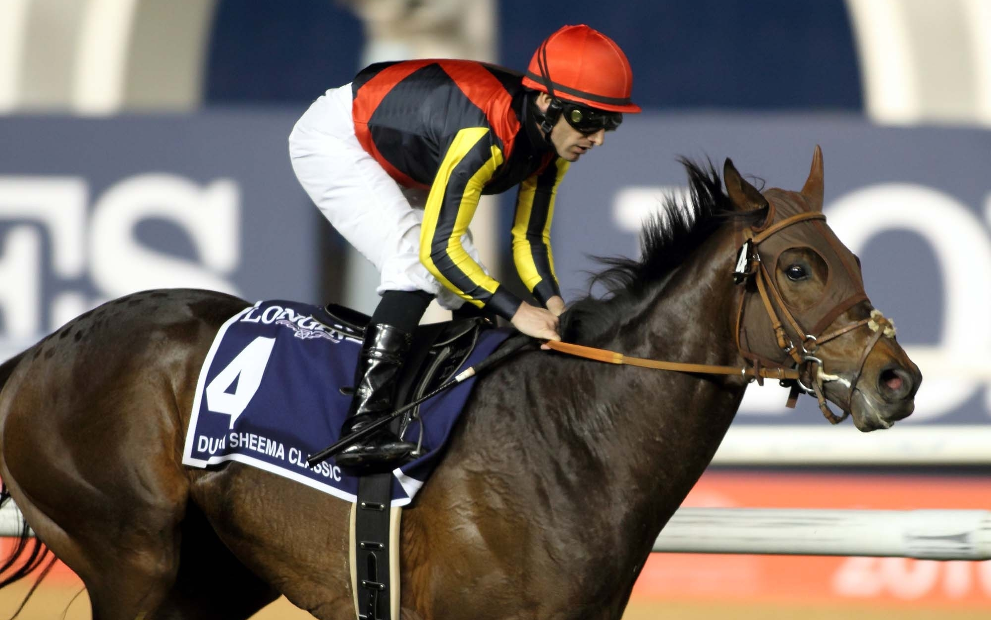 【赛马】 2016dubai sheema classic(迪拜司马经典赛(gi))duramente