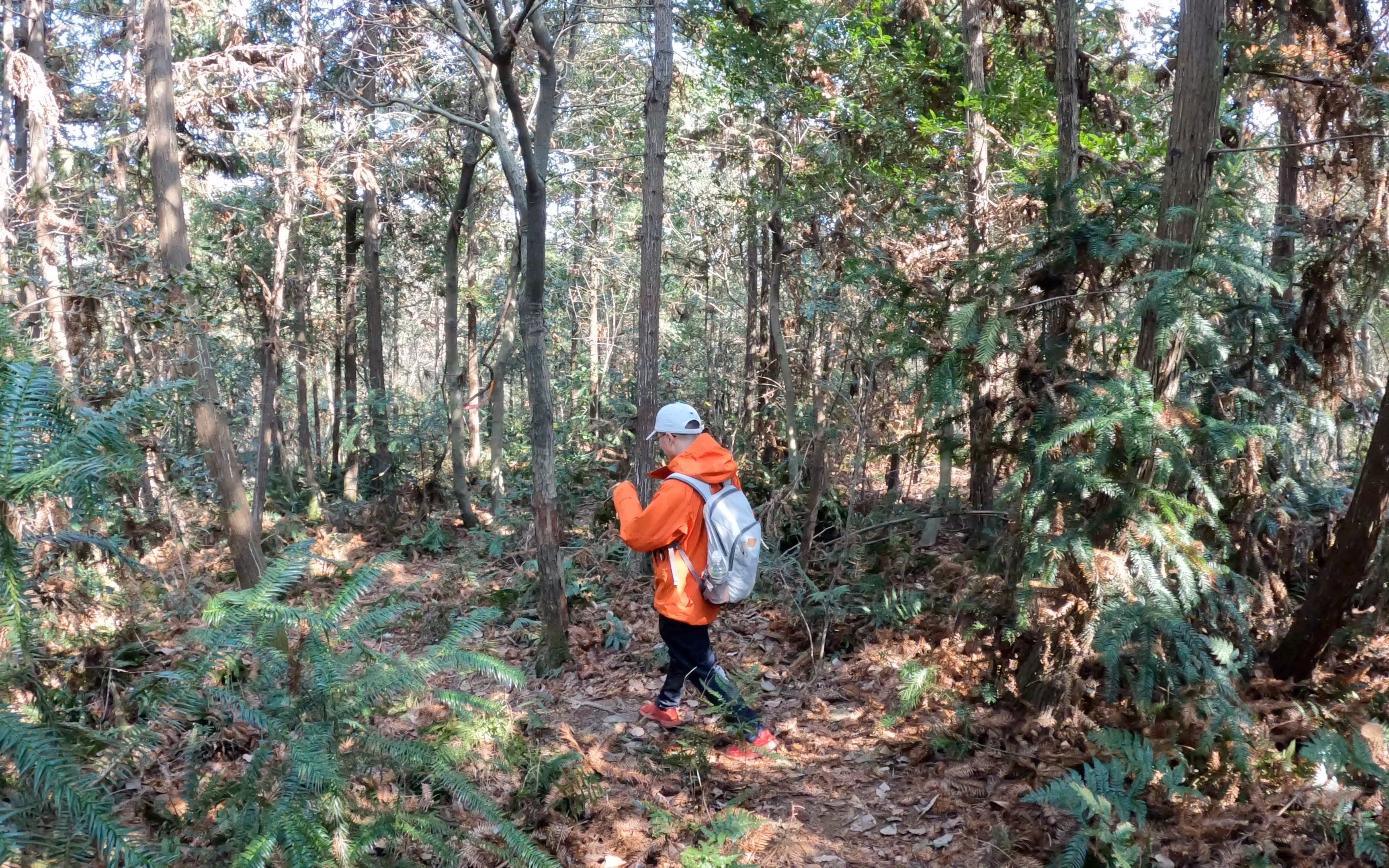 无锡军嶂古道24km大环线,越野跑根本跑不动哔哩哔哩bilibili