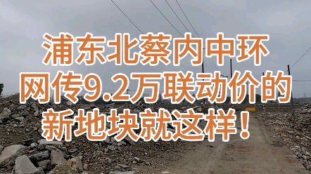 心凉一大半,浦东北蔡内中环网传9.2万联动价的新地块就这样!哔哩哔哩bilibili