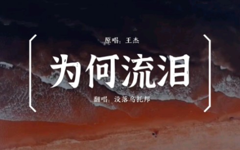 [图]王杰-为何流泪 翻唱