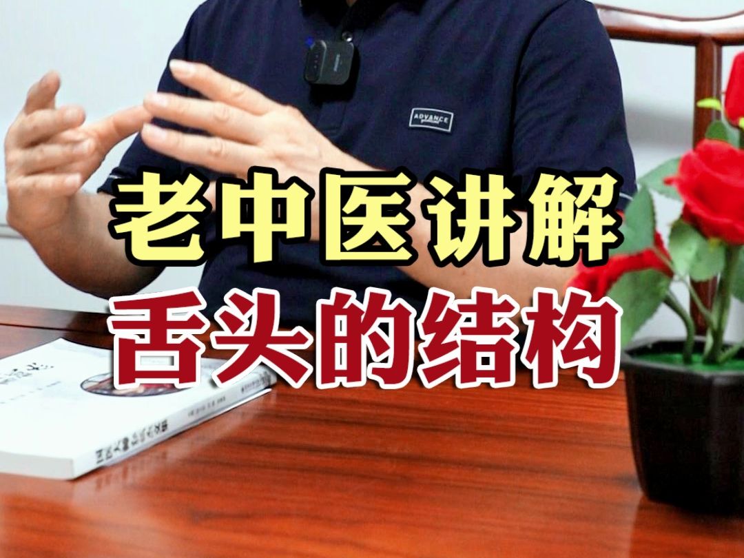 老中医讲解 舌头的结构哔哩哔哩bilibili