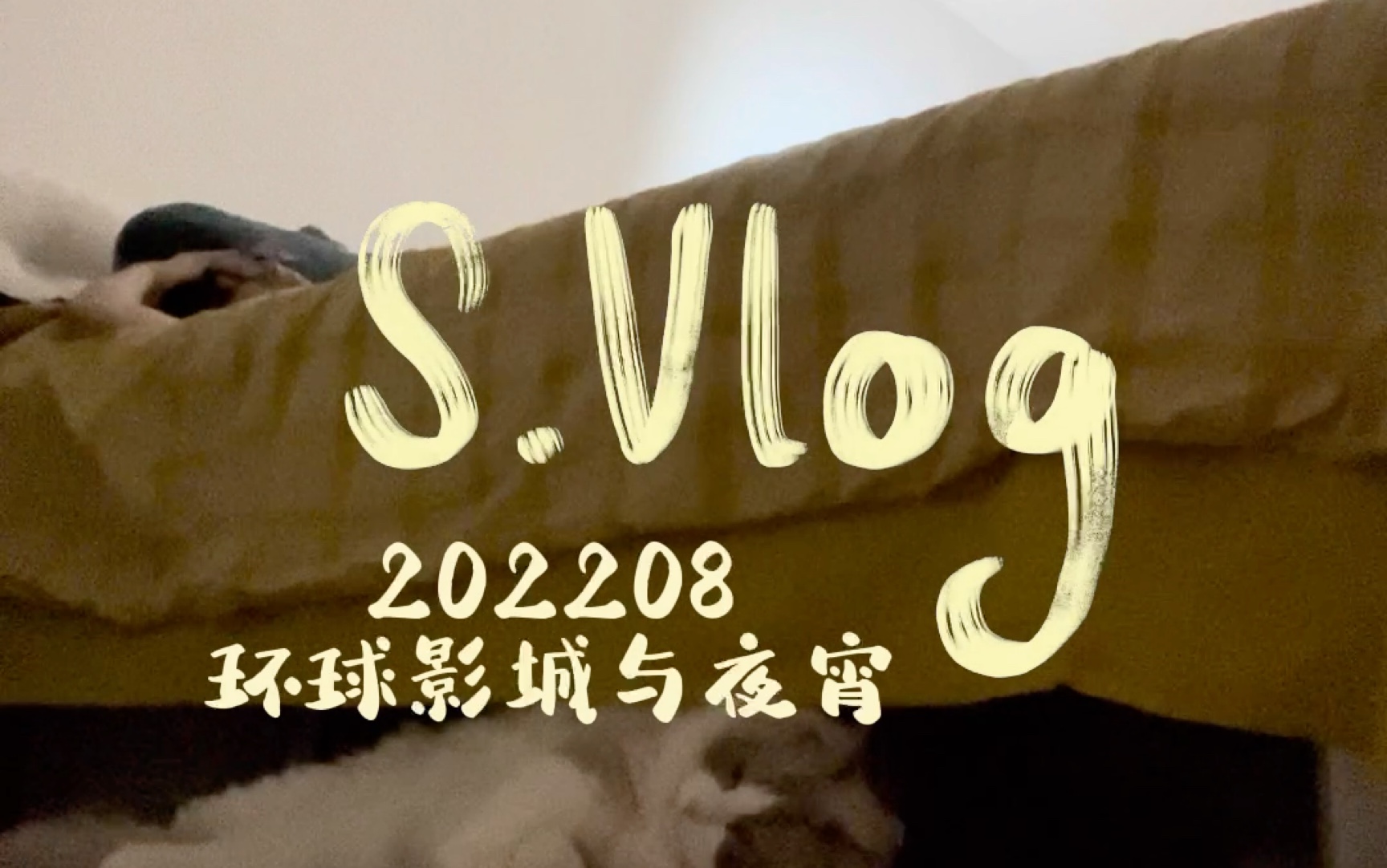 【蒜皮】竖屏vlog 202208某日的环球影城和夜宵|流水账式vlog哔哩哔哩bilibili