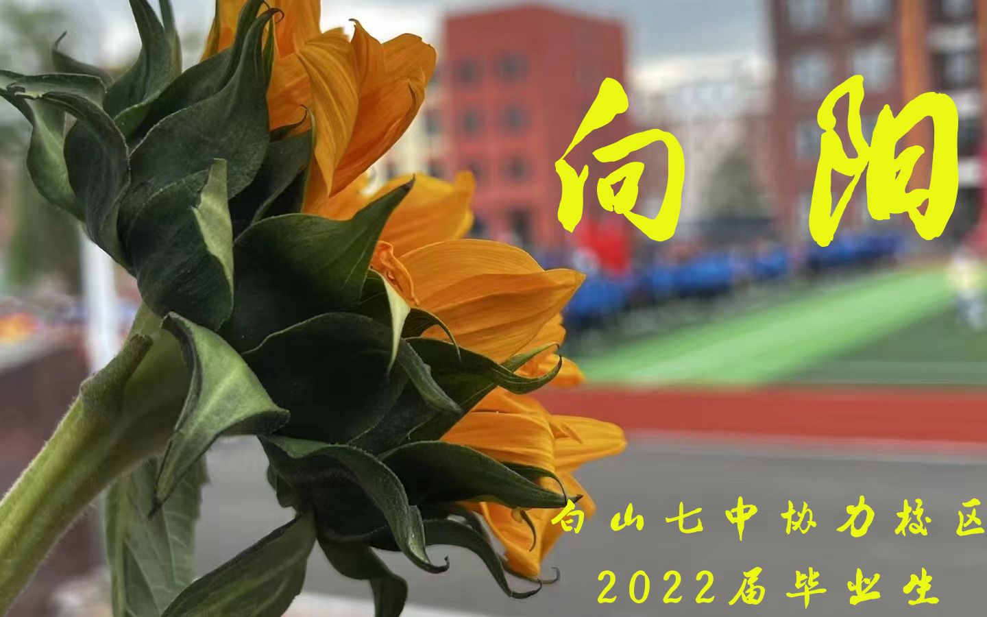 向阳 | 白山七中协力校区2023年高考加油视频哔哩哔哩bilibili